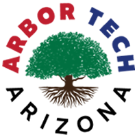 Arbortechaz